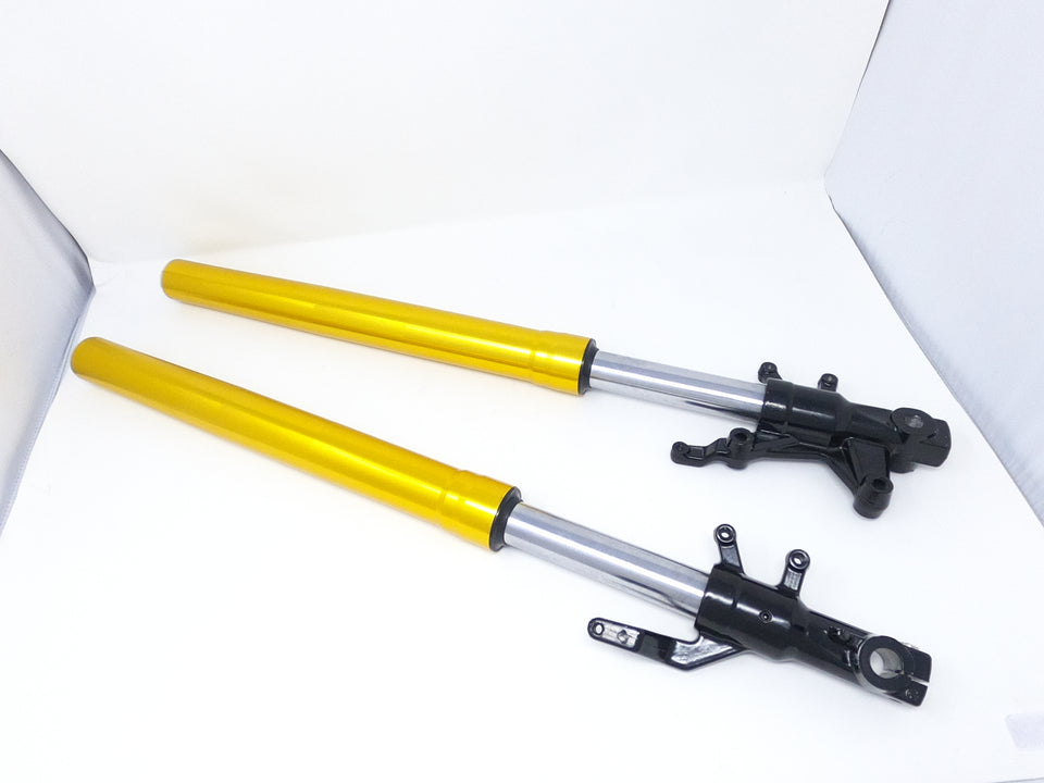 Venom X20 125cc Motorcycle | Front Fork(s) (07010122-1 / 07010122-2) Left & Right Fork