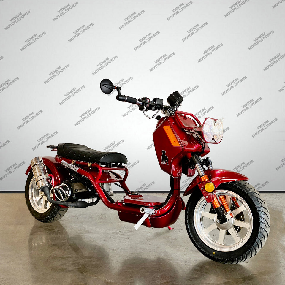 150cc Maddog Scooter | Generation 4 | Automatic Transmission