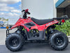 Venom Moccasin | 110cc ATV | Fully Automatic