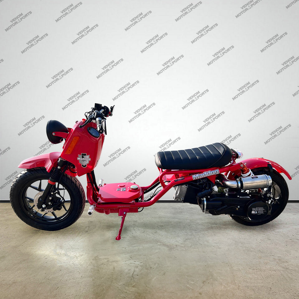50cc Maddog Scooter | Generation 5 | Automatic Transmission