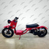 50cc Maddog Scooter | Generation 5 | Automatic Transmission
