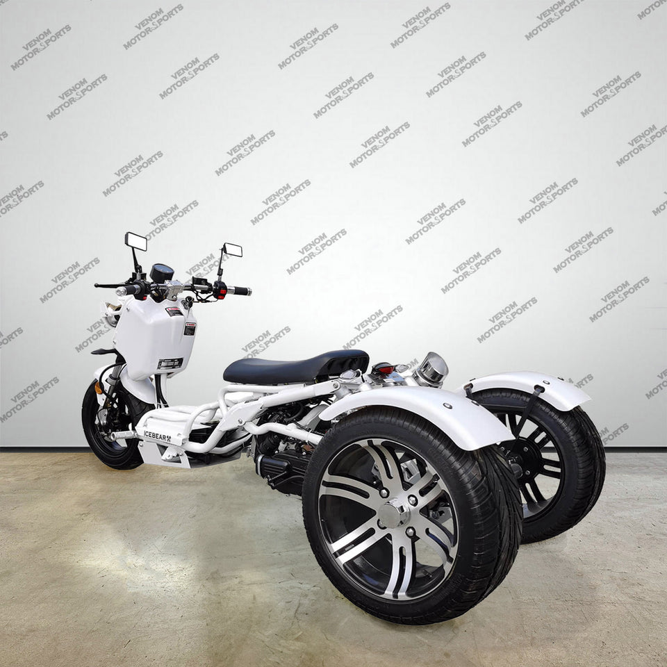 50cc Maddog Trike | 3 Wheeler | Automatic Transmission