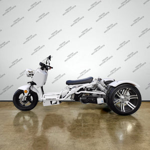 50cc Maddog Trike | 3 Wheeler | Automatic Transmission