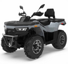 Predator 300cc ATV | Full Size EFI | Automatic Transmission | 4WD