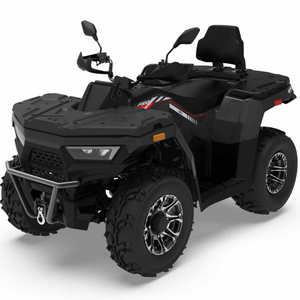 Predator 300cc ATV | Full Size EFI | Automatic Transmission | 4WD Black