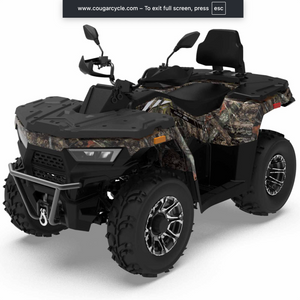 Predator 300cc ATV | Full Size EFI | Automatic Transmission | 4WD