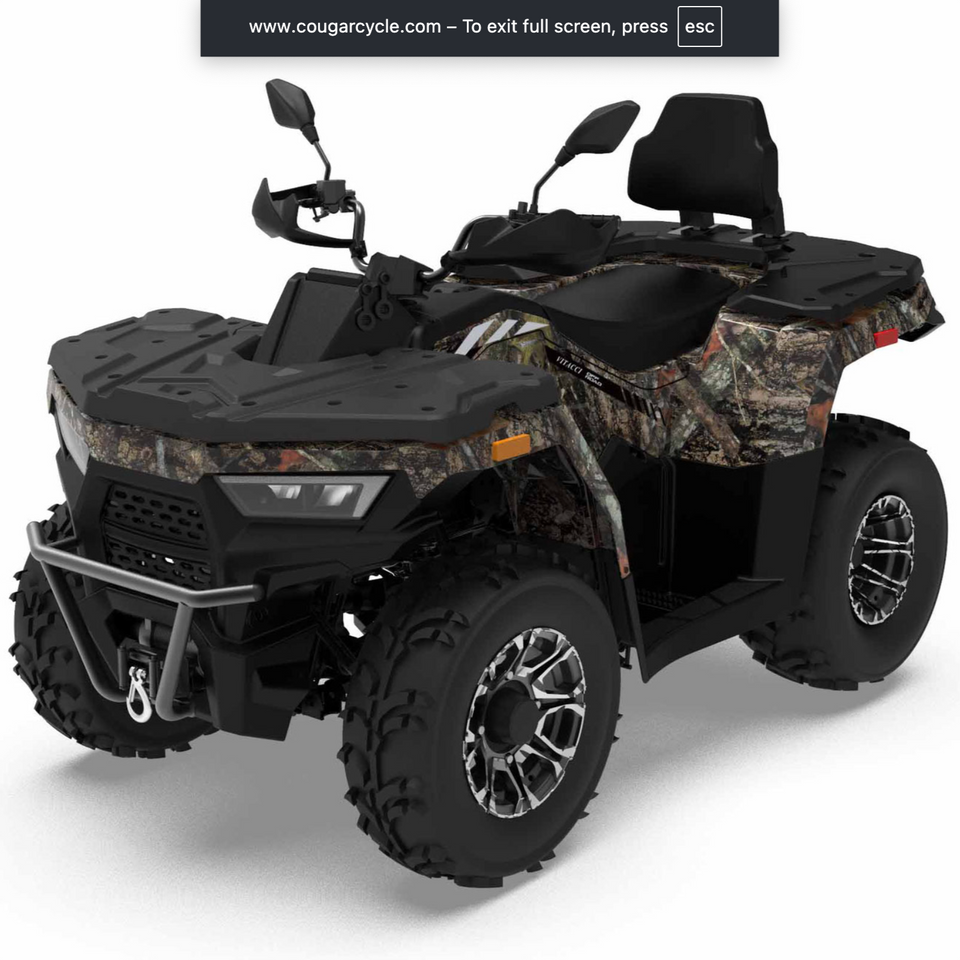 Predator 300cc ATV | Full Size EFI | Automatic Transmission | 4WD