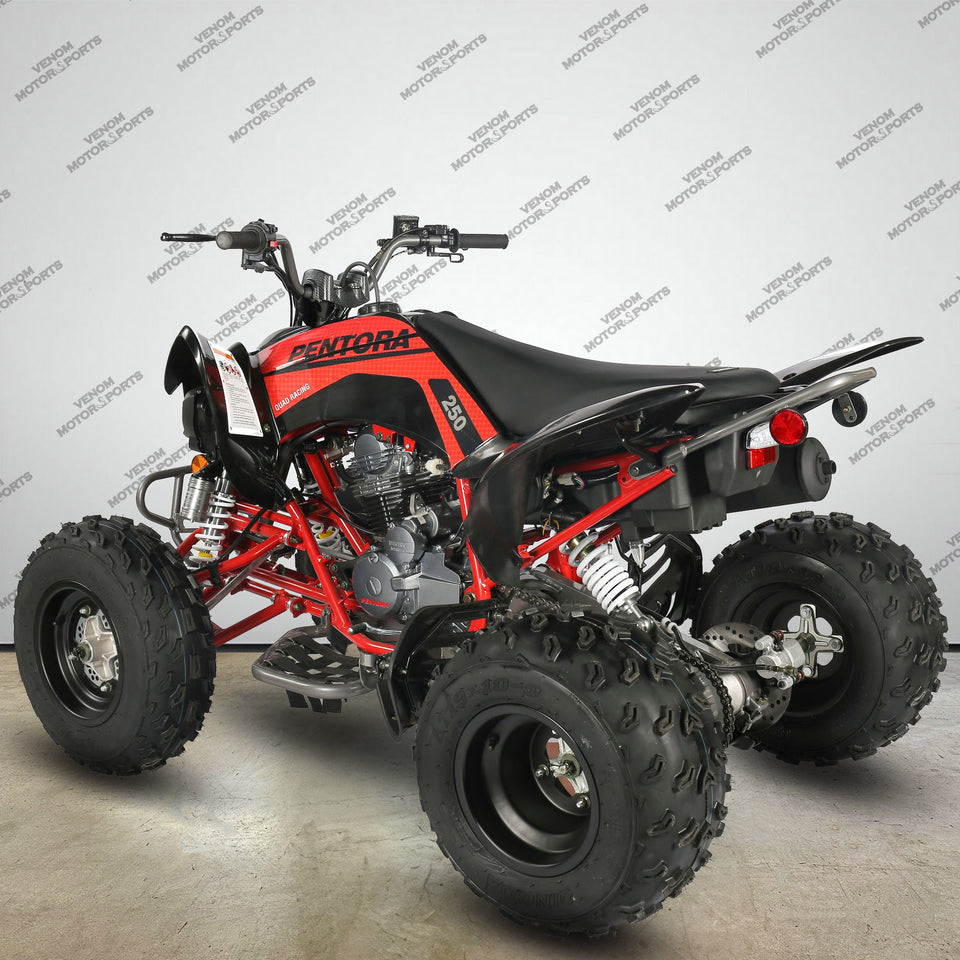 Venom Pentora 250cc | Adult ATV | 4-Speed Manual + Reverse