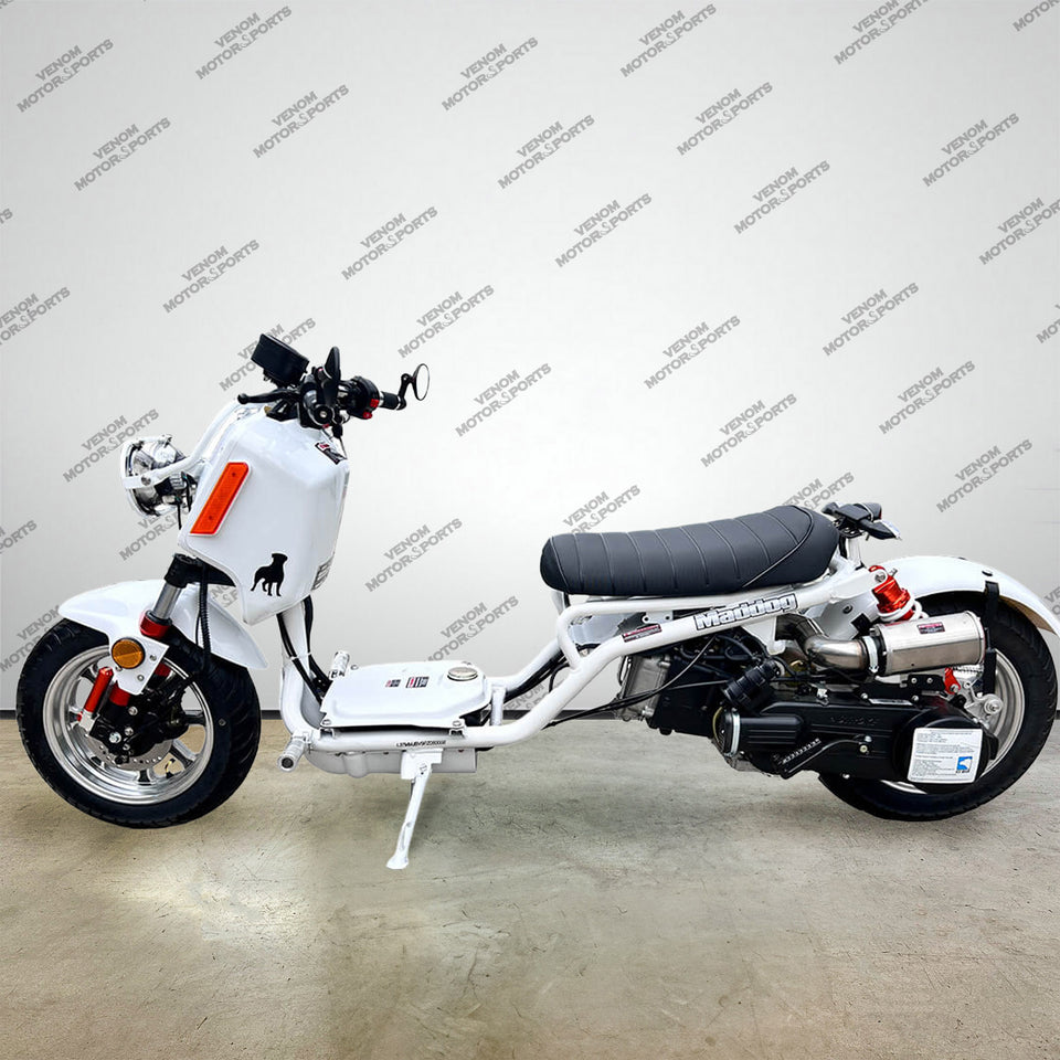 150cc Maddog Scooter | Generation 4 | Automatic Transmission