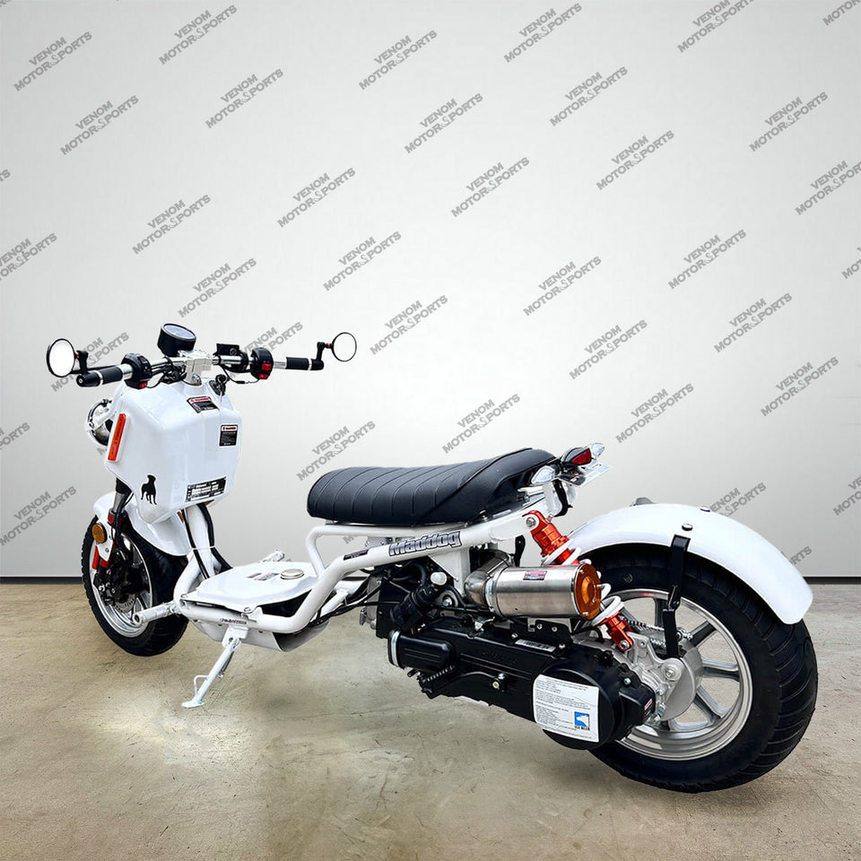 150cc Maddog Scooter | Generation 4 | Automatic Transmission