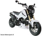 Venom x19R Fuerza | 125cc Motorcycle | 4-Speed White