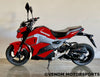 Venom Mini Max | 50cc Motorcycle | Automatic Transmission