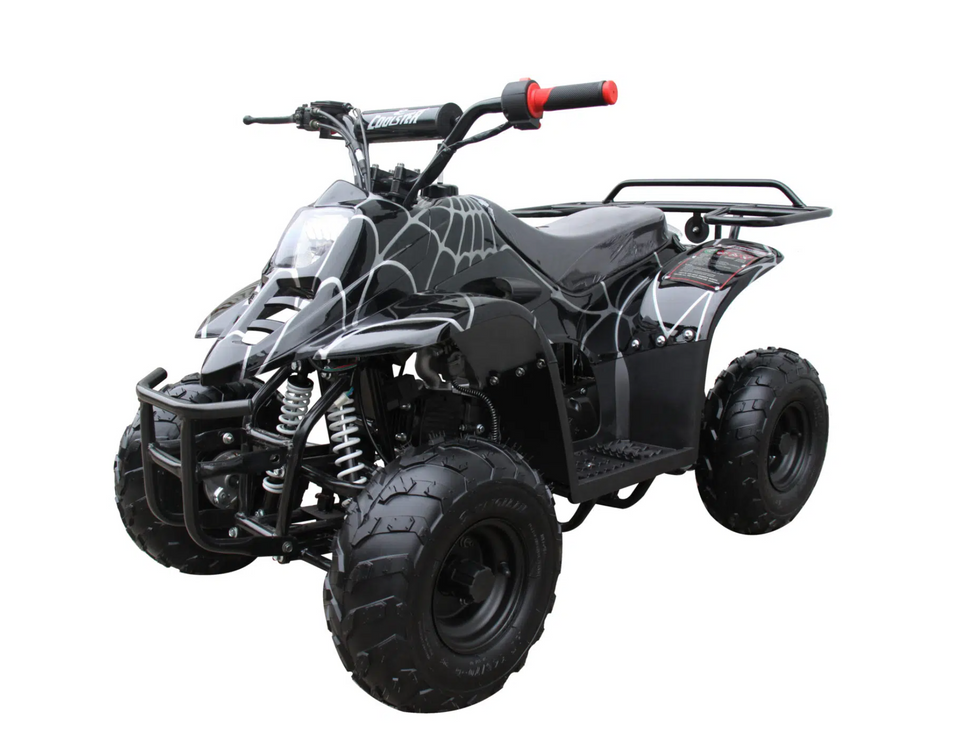 Rex 110cc ATV | 4-Stroke Automatic Transmission