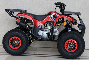 2022 Venom Grizzly 125cc ATV | Automatic Transmission