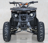 2022 Venom Grizzly 125cc ATV | Automatic Transmission