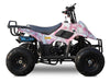 Rex 110cc ATV | 4-Stroke Automatic Transmission