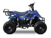 Rex 110cc ATV | 4-Stroke Automatic Transmission Spider Blue